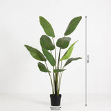 Strelitzia nicolai Kunstpflanze H180cm