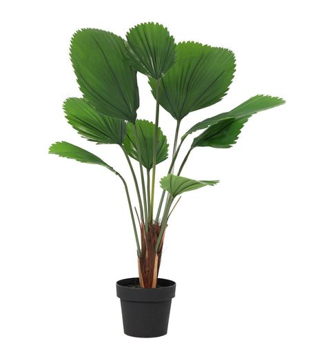 Licuala Grandis Kunstpalme H104cm