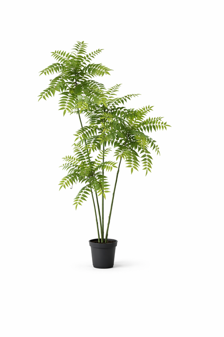 Künstliche Mahonie H185cm