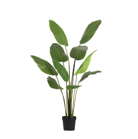 Strelitzia nicolai Kunstpflanze H180cm