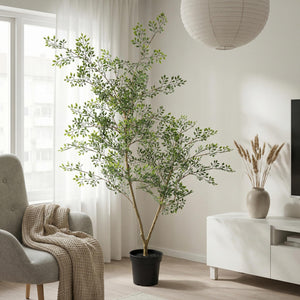 Künstlicher Bucida H71cm