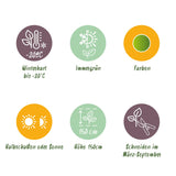 Green boutiQ - Buxushecke - BetterBuxus Babylon Beauty - Resistent gegen den Buchsbaumzünsler - 6 Pflanzen - 1 laufender Meter - Topf 13cm Höhe 30-35