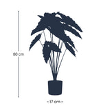 Künstliche Alocasia H80cm