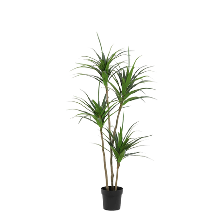 Drachenbaum Kunstpflanze H165cm