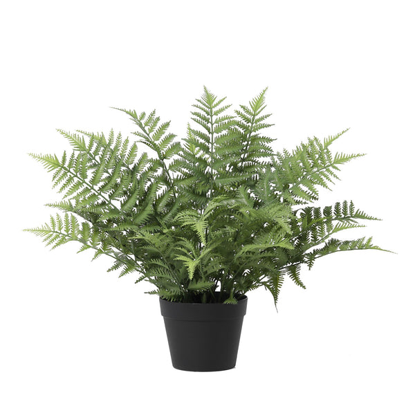 KÜNSTLICHER Nephrolepis exaltata – 59 cm