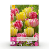 Green boutiQ - Blumenzwiebeln - Tulpe Foxtrot Mix - Verschiedene Farben - 12 Stück - Zwiebelgröße 11/12 - XXL Pack