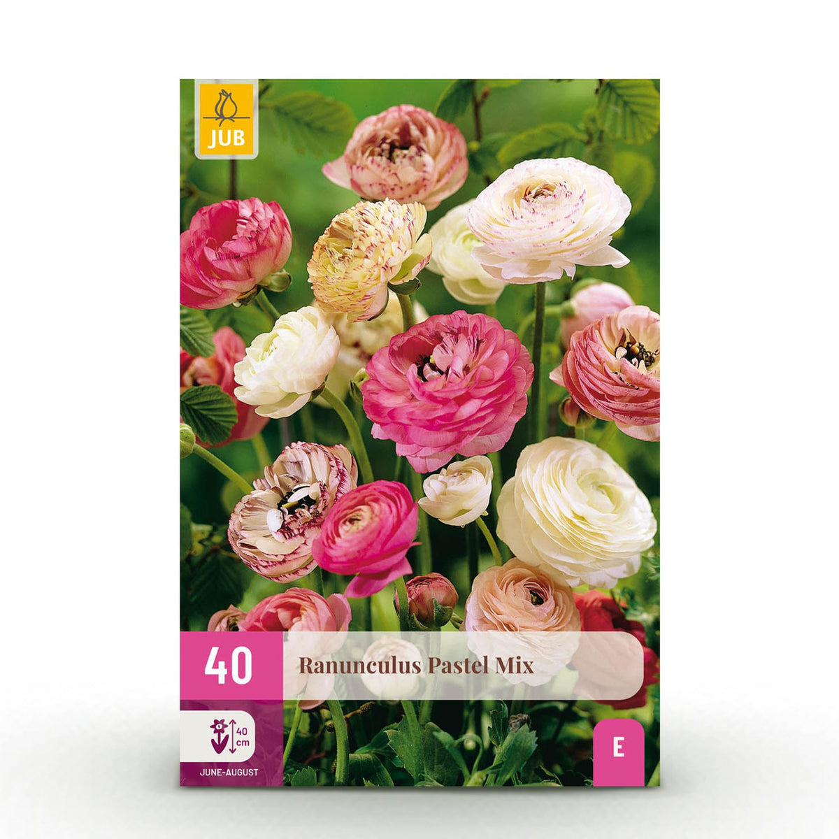 Green boutiQ – Blumenzwiebeln – Ranunkeln Pastell-Mix – Verschiedene Farben – 40 Stück – Zwiebelgröße 5/6 – XXL Pack