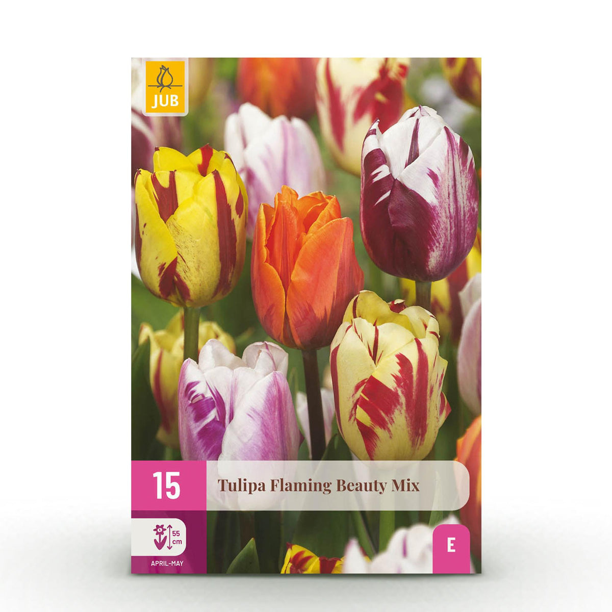 Green boutiQ - Blumenzwiebeln - Tulpe Flaming Beauty Mix - Verschiedene Farben - 15 Stück - Zwiebelgröße 11/12 - XXL Pack
