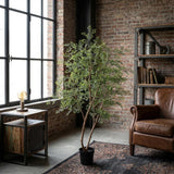 Künstlicher Strauch Cassia h180cm