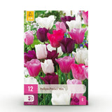 Green boutiQ - Blumenzwiebeln - Tulpen Pastell-Mix - verschiedene Farben - 12 Stück - Zwiebelgröße 11/12 - XXL Pack