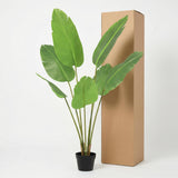 Strelitzia Nicolai künstlich H135cm