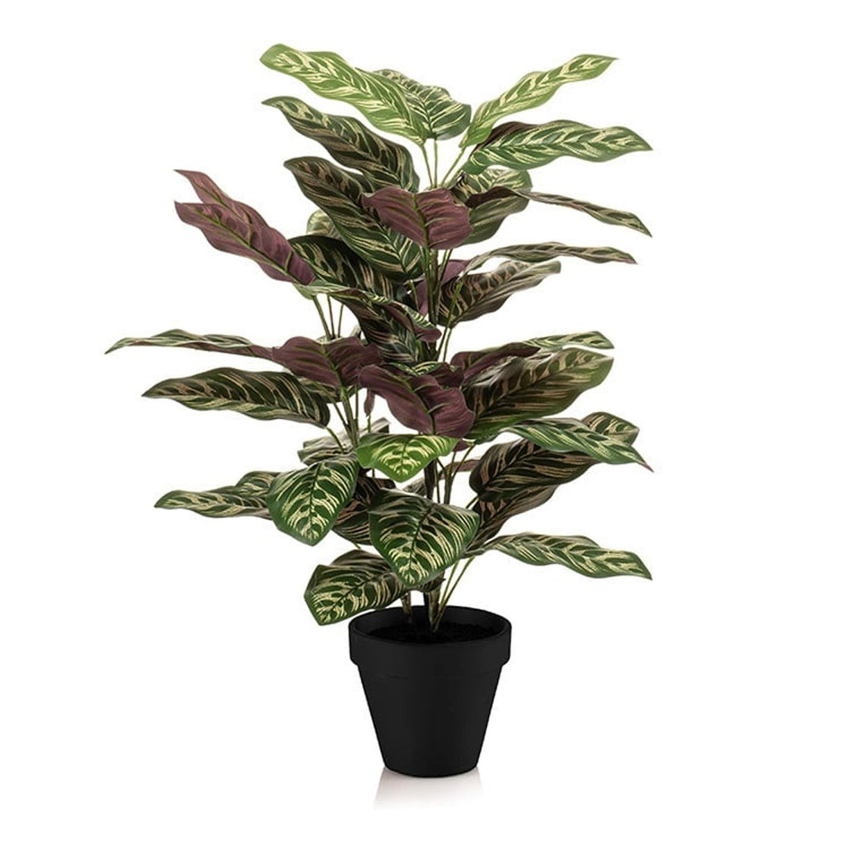 Künstliche Calathea makoyana im Topf H65cm