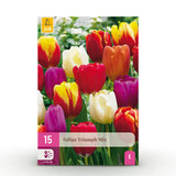 Green boutiQ - Blumenzwiebeln - Tulpen Triumph-Mischung - Verschiedene Farben - 15 Stück - Zwiebelgröße 11/12 - XXL Pack