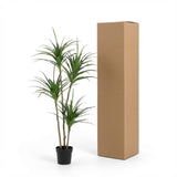Drachenbaum Kunstpflanze H165cm