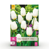 Green boutiQ - Blumenzwiebeln - Tulpe Triumph White - Farbe Weiß - 15 Stück - Zwiebelgröße 11/12 - XXL-Packung
