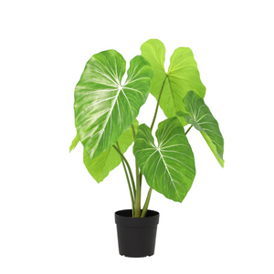 Künstlicher Philodendron H100cm