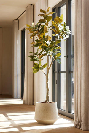Künstliche Magnolie H 150 cm