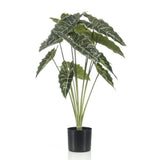 Künstliche Alocasia H80cm