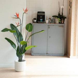 Künstliche Paradiesvogelblume im Topf h120cm