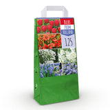 Green boutiQ - Blumenzwiebeln - Bulbs From Holland - Verschiedene Farben - 125 Stück - Geschenkverpackung