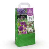 Green boutiQ - Blumenzwiebeln - Blumengarten Allium-Mix - Verschiedene Farben - 80 Stück - Geschenkverpackung