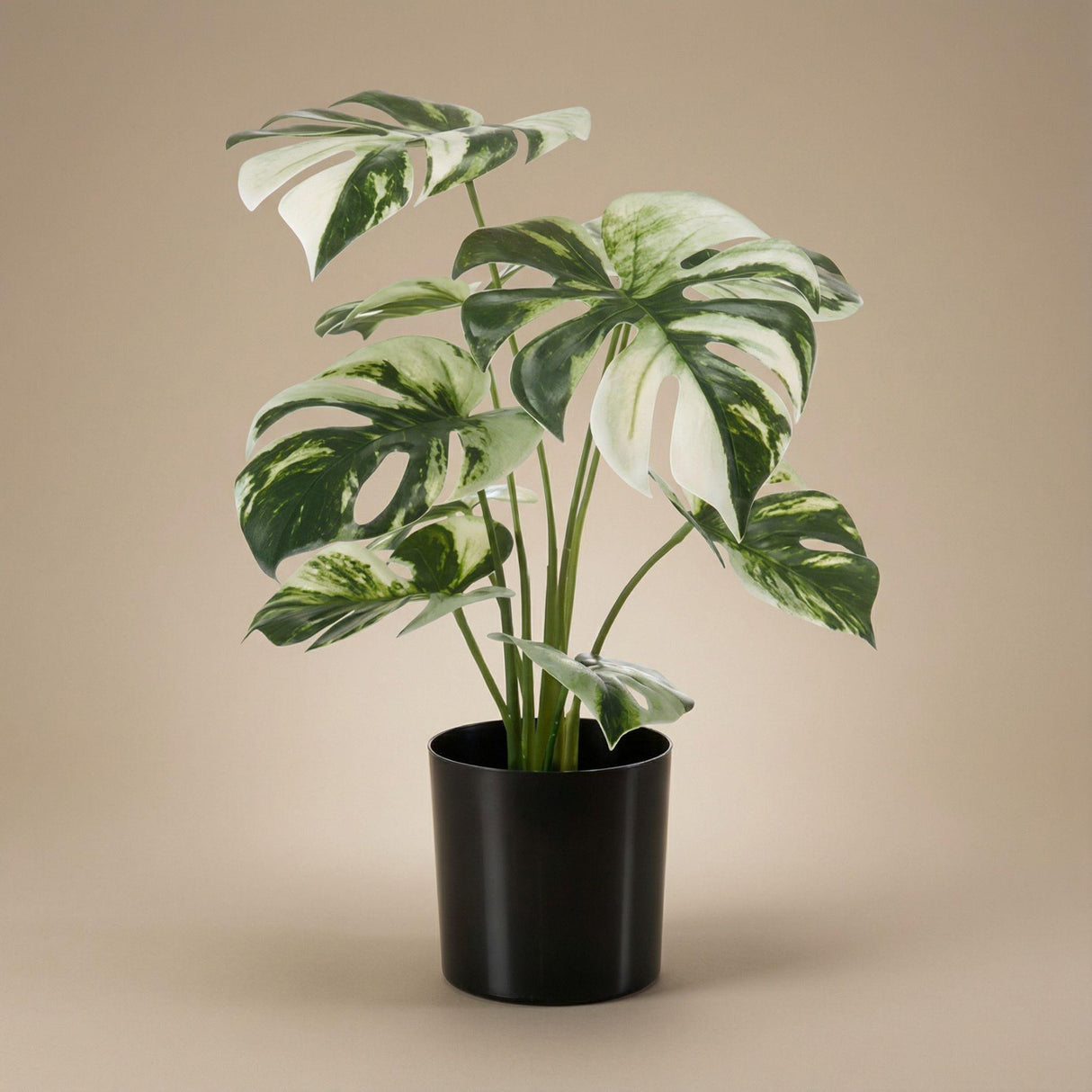 Monstera Variegata Kunstpflanze H40cm inkl. Topf