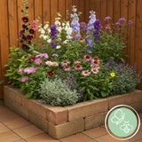 Green boutiQ - Staudenpaket - Bienen- und Schmetterlingsfreundlich - 8 Stauden - 1 m2 - Verschiedene Farben - Wenig Pflege - Topf 11cm