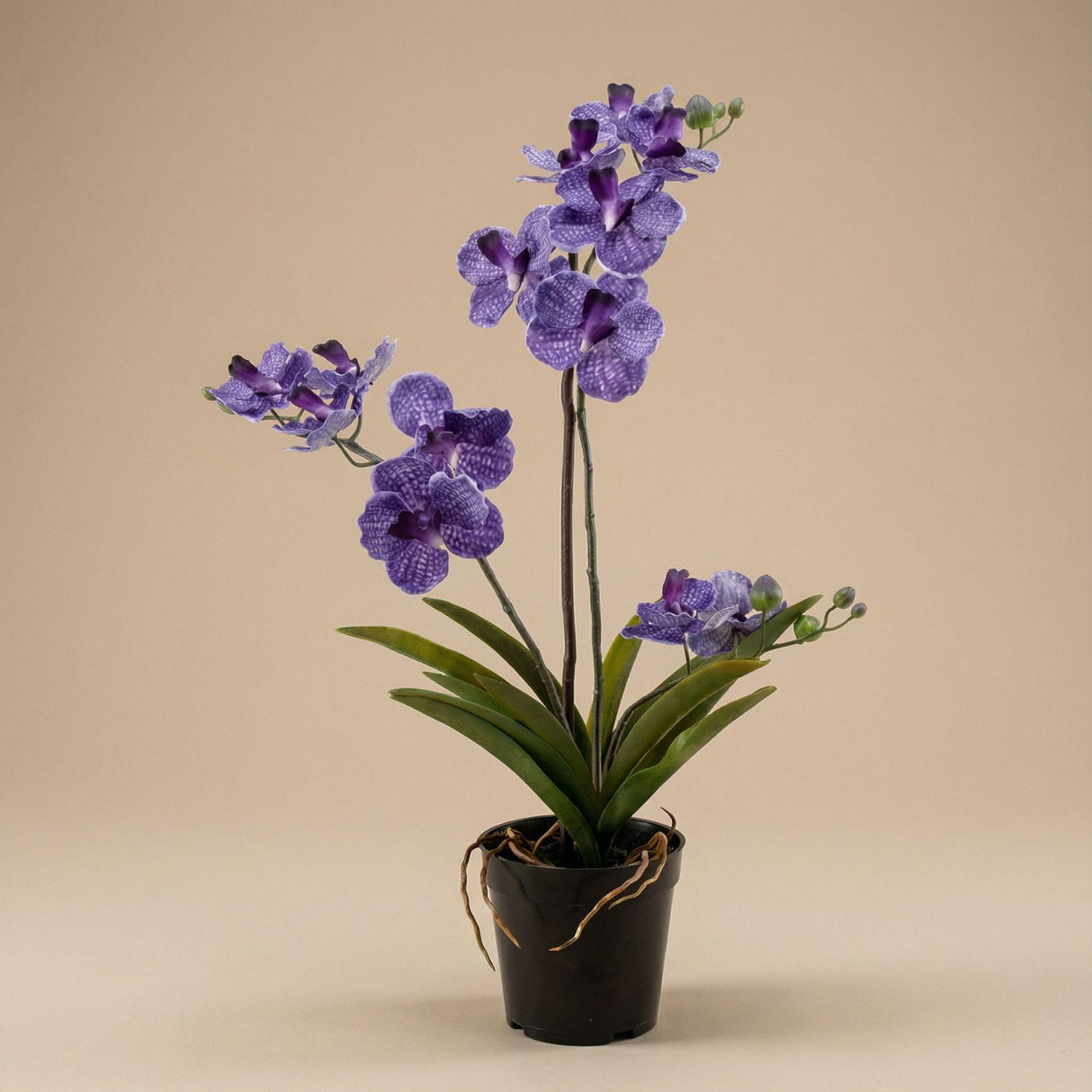 Künstliche Vanda Orchidee violett H60cm inkl. Topf