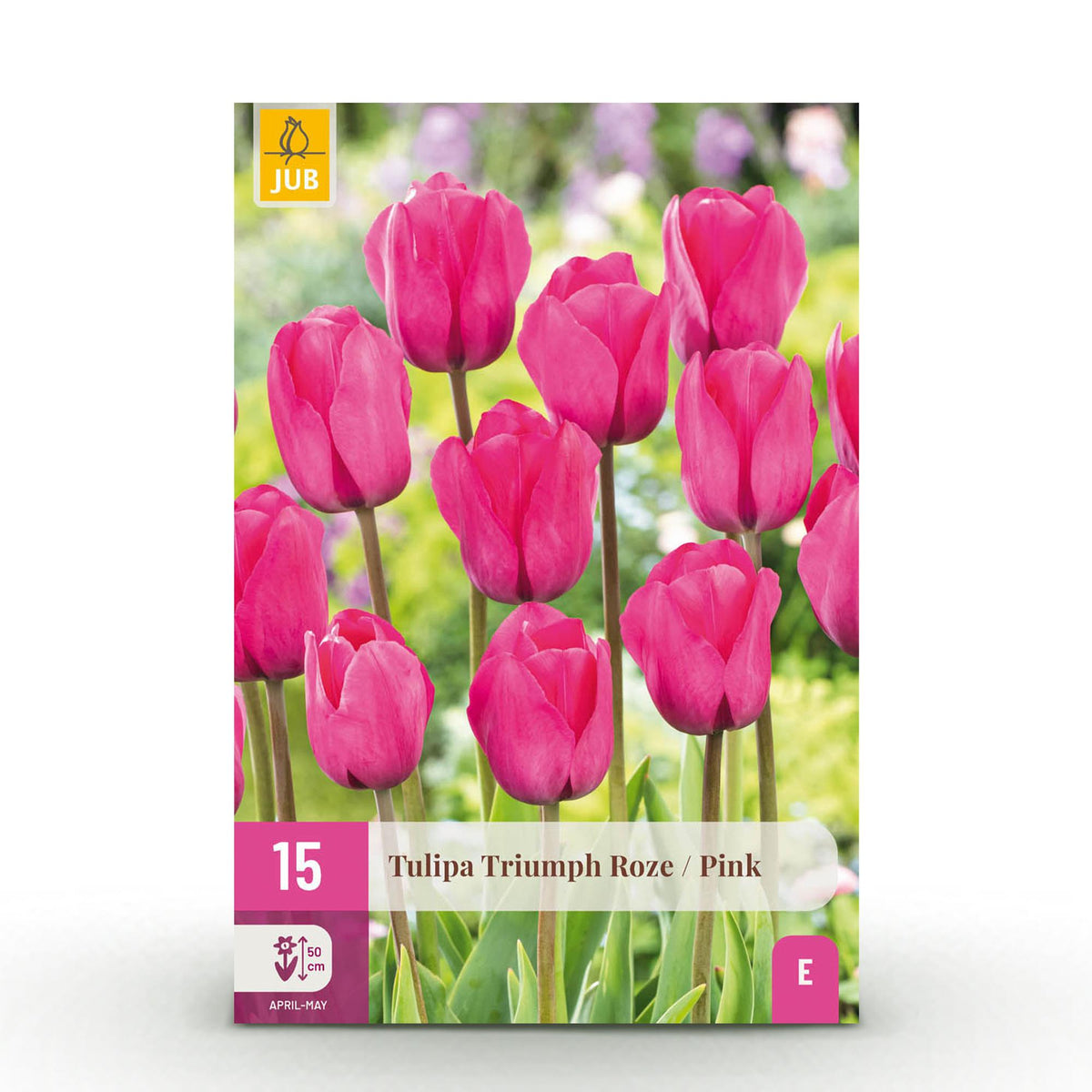 Green boutiQ - Blumenzwiebeln - Tulpe Triumph Pink - Farbe Rosa - 15 Stück - Zwiebelgröße 11/12 - XXL Pack