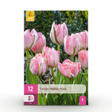 Green boutiQ - Blumenzwiebeln - Tulpe Double Pink - Farbe Rosa - 12 Stück - Zwiebelgröße 11/12 - XXL Pack