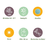 Green boutiQ - Terrassenpflanze - Eukalyptusbaum - Eucalyptus gunnii - Grau - 2 Pflanzen - Winterhart - Topf 17cm Höhe 40cm