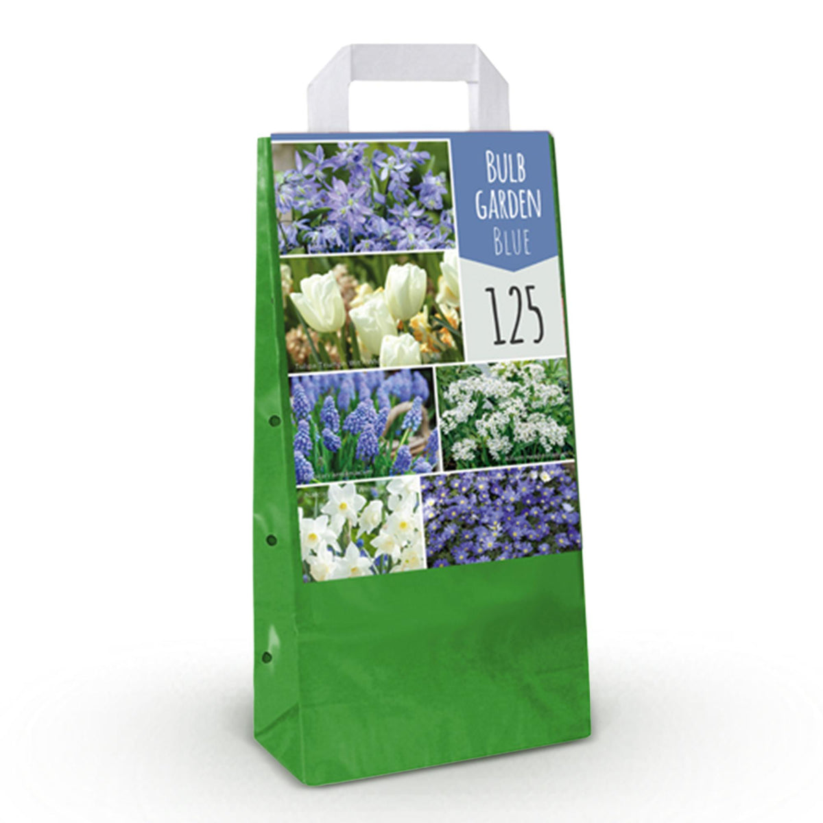 Green boutiQ - Blumenzwiebeln - Bulb Garden Blue mix - Verschiedene Sorten - Farbe Blau - 125 Stück - Geschenkverpackung
