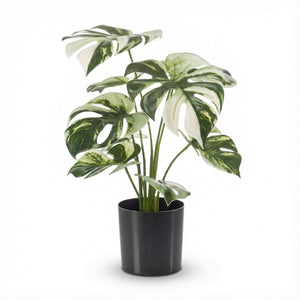 Monstera Variegata Kunstpflanze H40cm inkl. Topf