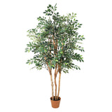 Künstlicher Ficus Exotica h150cm