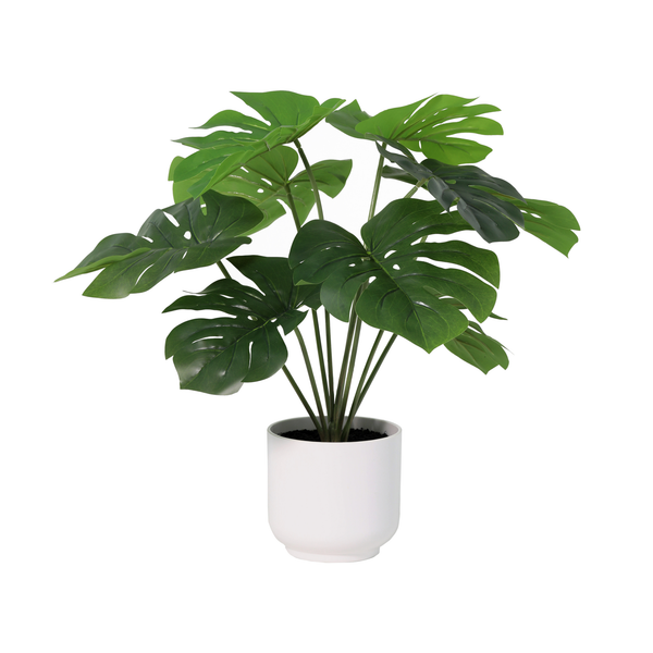 Künstliche Monstera Deliciosa inklusive weißem Topf - 50cm
