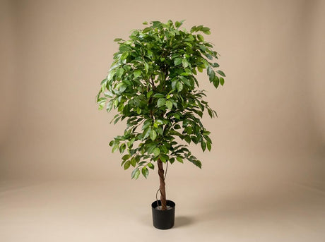 Künstlicher Ficus, Premium-Qualität, H 140 cm