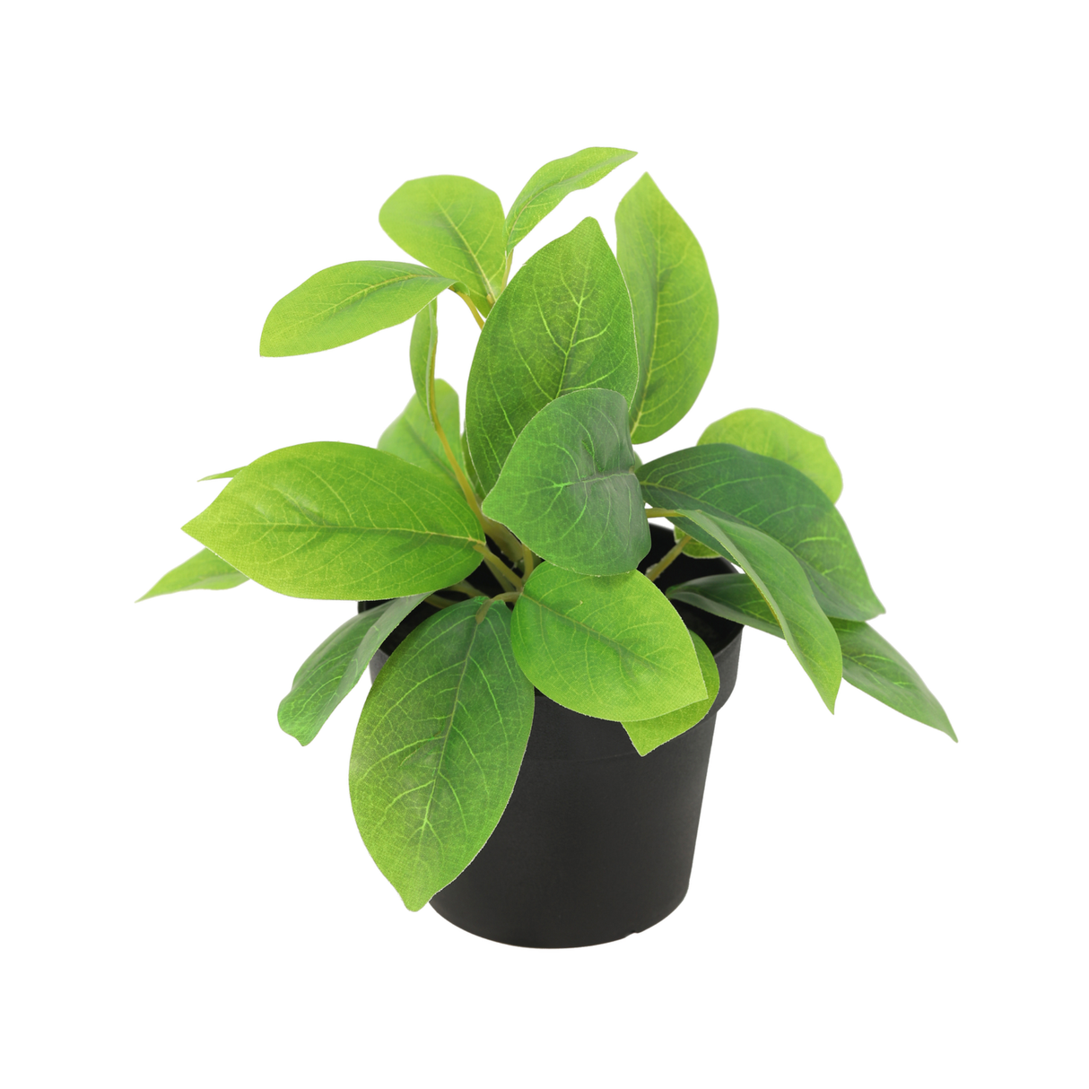 Künstliche Hoya grün - 20cm