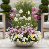 Green boutiQ - Blumenzwiebeln - Bulb Garden Pink Mix - Diverse Sorten - Farbe Rosa - 125 Stück - Geschenkverpackung