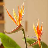 Künstliche Paradiesvogelblume im Topf h120cm