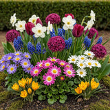 Green boutiQ - Blumenzwiebeln - Bulb Garden Mix - Verschiedene Arten und Farben - 125 Stück - Geschenkverpackung