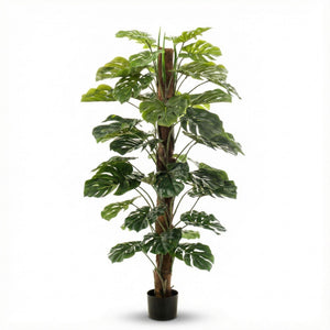 Künstliche Monstera, H 150 cm