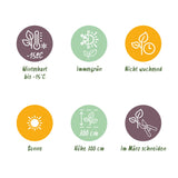 Green boutiQ - Fruitpflanze - Japanische Faserbanane - Musa Basjoo - Winterhart - 2 Pflanzen - Topf 15cm Höhe 50cm