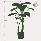 Künstliche Alocasia H 110 cm
