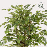 Künstlicher Ficus Liana H170cm