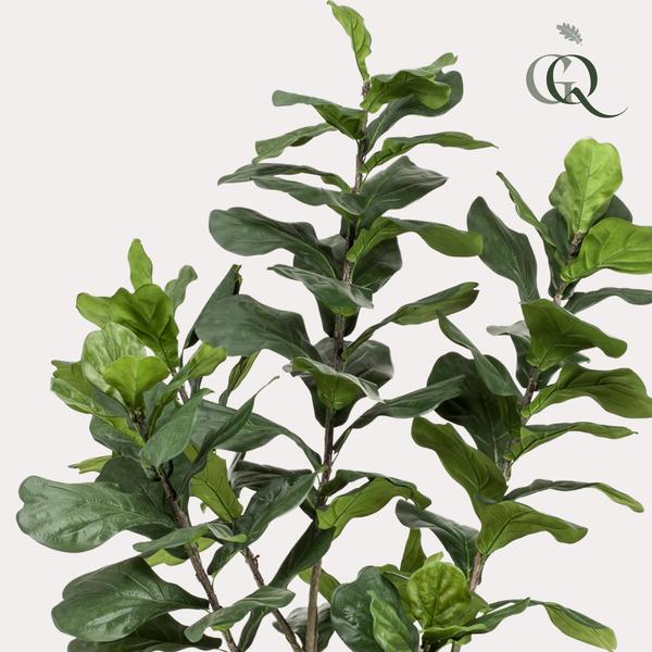 Kunstplant - Ficus Lyrata - Tabaksplant - 210 cm