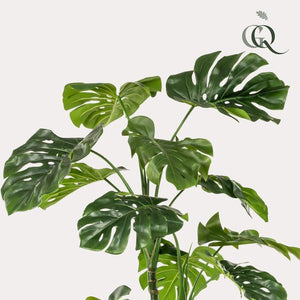 Künstliche Monstera, H180cm