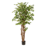 Künstlicher Ficus Liana H170cm
