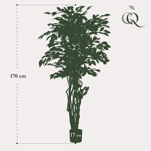 Künstlicher Ficus Liana H170cm