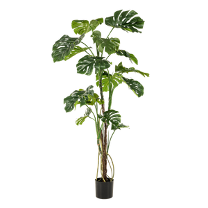 Künstliche Monstera, H180cm