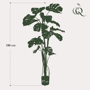 Künstliche Monstera, H180cm